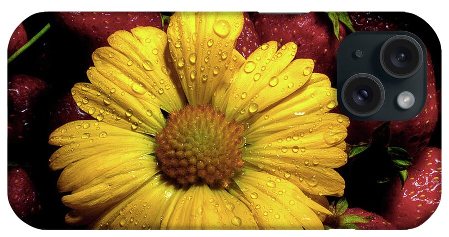 Daisy iPhone Case featuring the photograph A Little Sunshine In The Morning by Michael Eingle