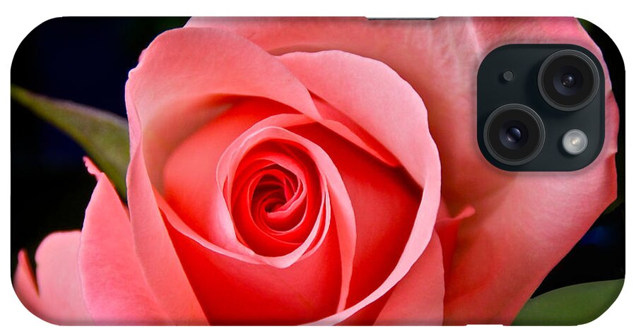 Photography iPhone Case featuring the photograph A Loving Rose by Sean Griffin