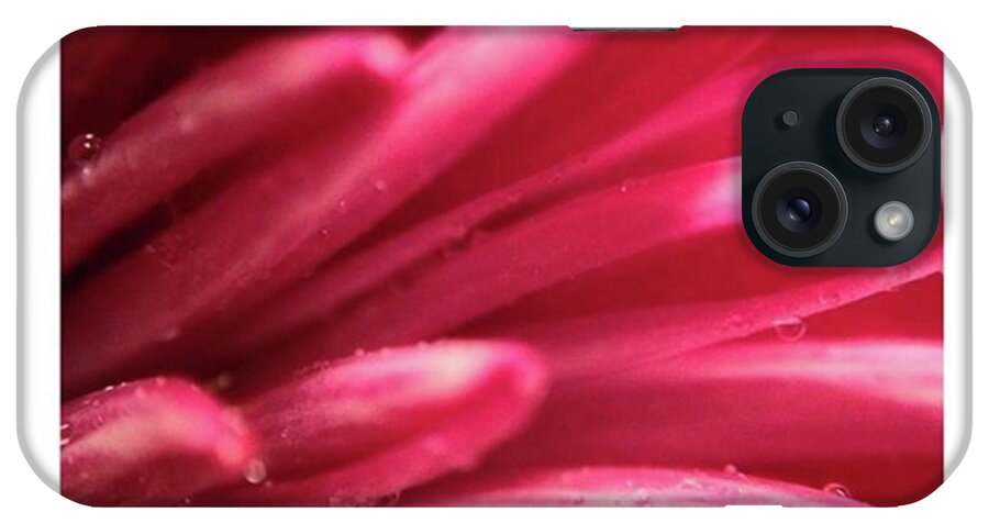  iPhone Case featuring the photograph A Macro Shot Of A Flower In The Rain We by Andrew Rhine