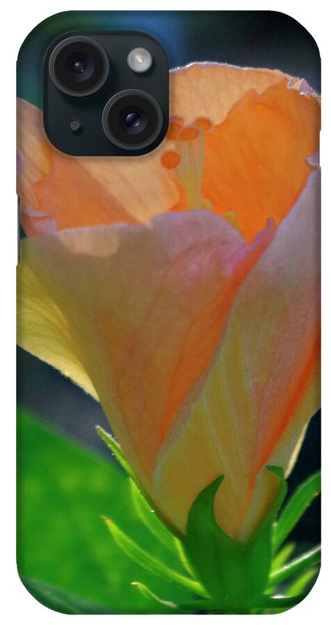 Nature iPhone Case featuring the photograph A new day. by Bess Carter