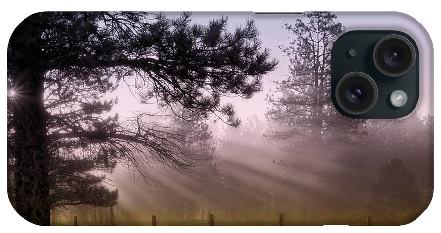 Trees iPhone Case featuring the photograph A New Day - Light Rays by Nikolyn McDonald