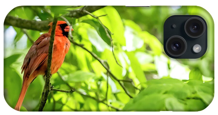 Bird iPhone Case featuring the digital art A Northern Cardinal enjoying the Springtime by Ed Stines