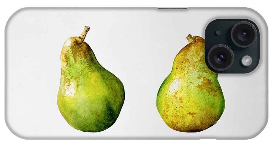 Fruit iPhone Case featuring the painting A Pair of Pears by Alison Cooper