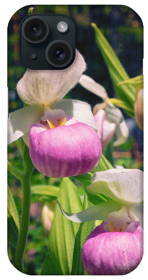 Showy Lady Slipper iPhone Case featuring the photograph A Pair of Slippers by Nancy Dunivin