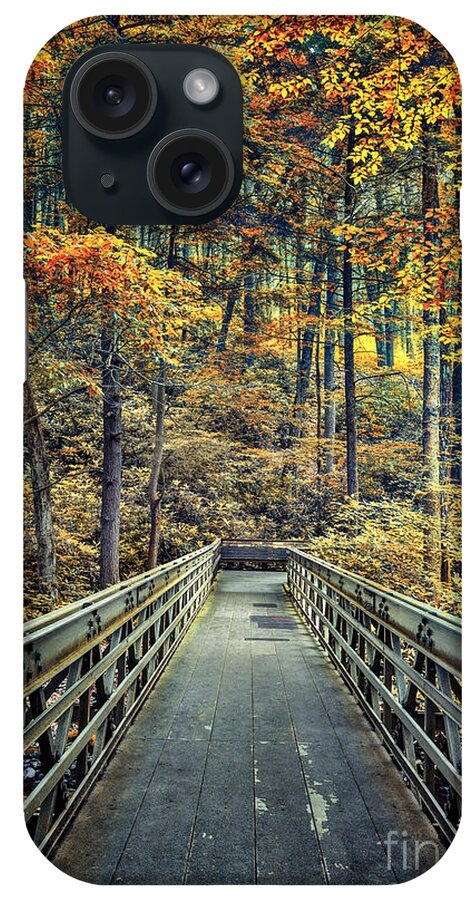 Kremsdorf iPhone Case featuring the photograph A Path Into Autumn by Evelina Kremsdorf