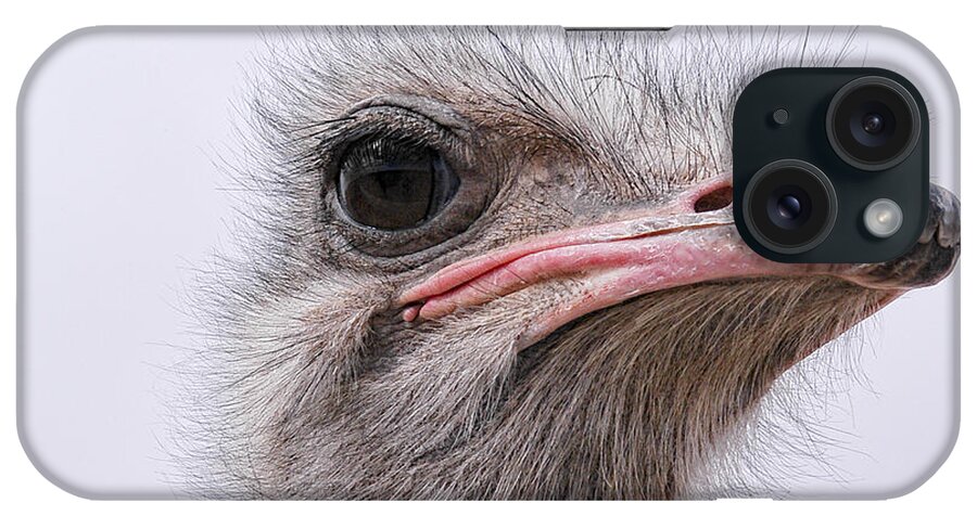 Ostrich iPhone Case featuring the photograph A Penny For Your Thoughts by Becky Titus