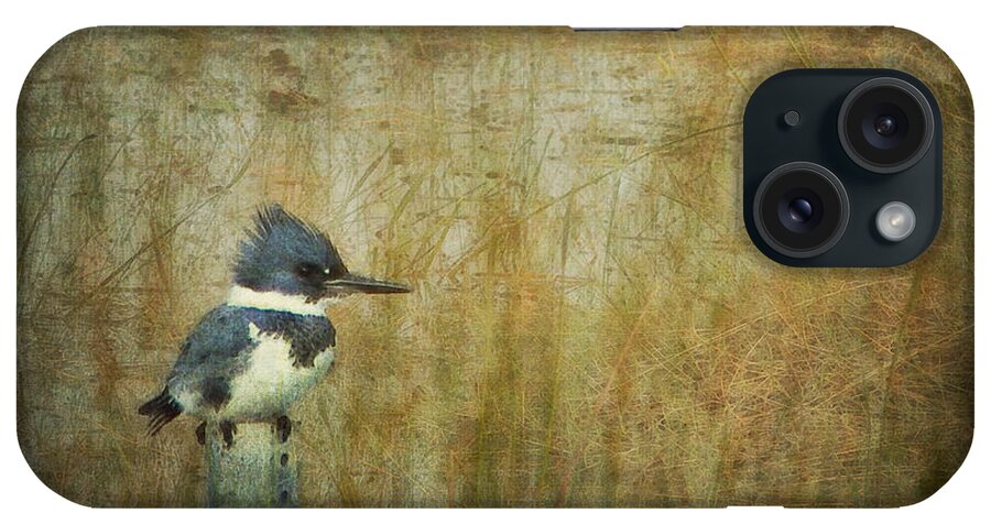 Belted Kingfisher iPhone Case featuring the photograph A Perched Belted Kingfisher by Carla Parris