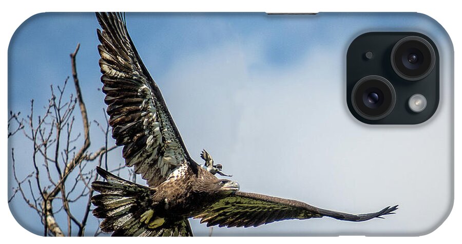 Raptor iPhone Case featuring the photograph A Piggyback Ride by Eleanor Abramson