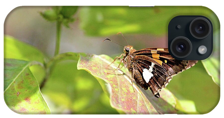 Butterfly iPhone Case featuring the photograph A Place of Rest by Trina Ansel