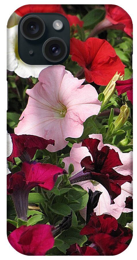 Petunia iPhone Case featuring the photograph A Plethora of Petunias by Cheryl Charette