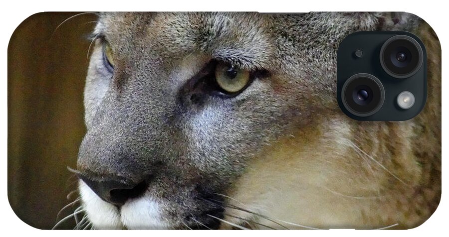 A Puma By Any Other Name iPhone Case featuring the photograph A Puma By Any Other Name -- Mountain Lion at Living Desert Zoo and Gardens, Palm Desert, California by Darin Volpe