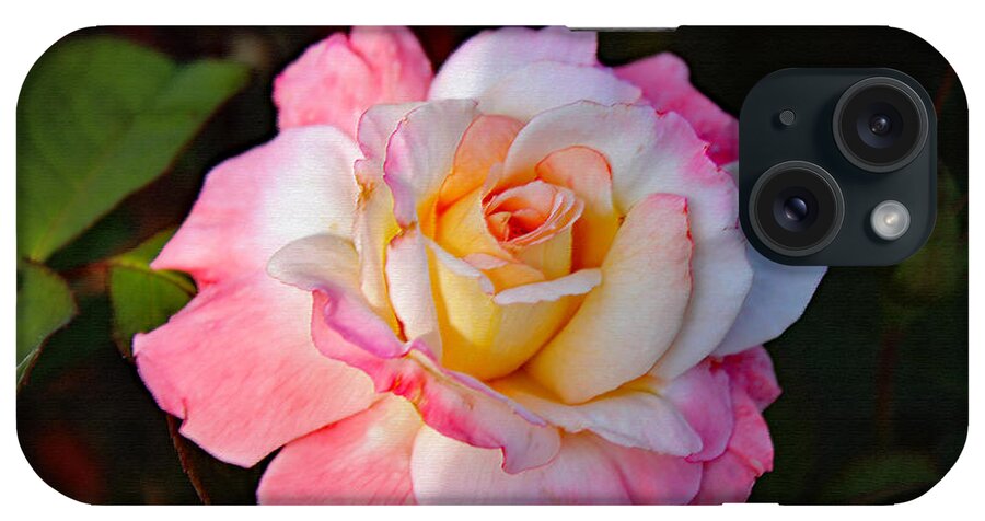 Art iPhone Case featuring the photograph A Rose For You by DB Hayes
