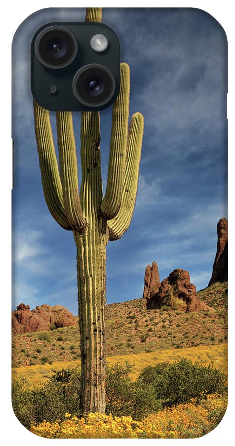 Saguaro iPhone Case featuring the photograph A Saguaro In Spring by James Eddy