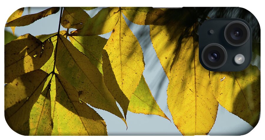 Fall Leaves iPhone Case featuring the photograph A Season Of Change by Mike Eingle