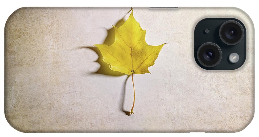 Maple Leaf iPhone Case featuring the photograph A Single Yellow Maple Leaf by Scott Norris