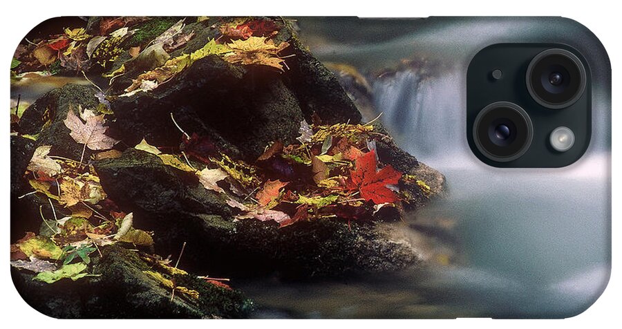 River iPhone Case featuring the photograph A Special Place by DArcy Evans