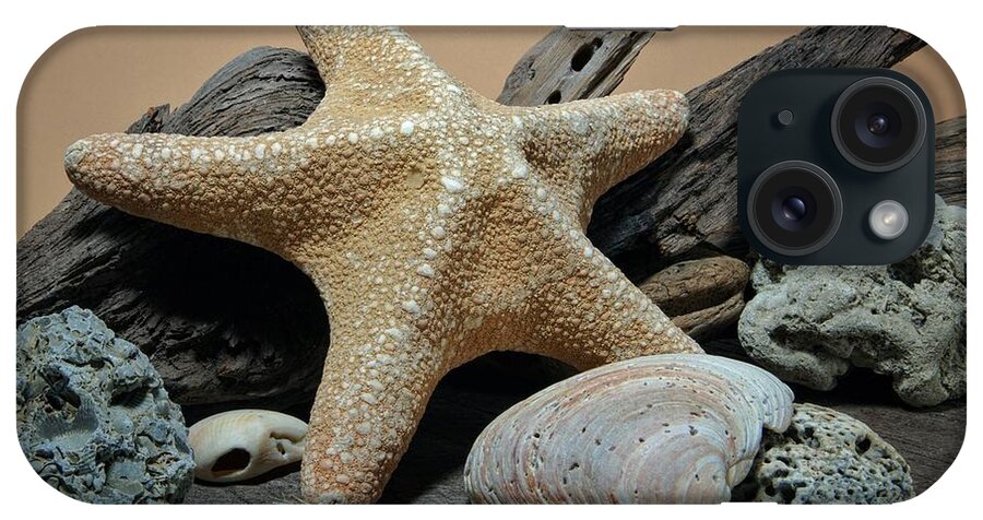 Starfish iPhone Case featuring the photograph A Star Is Born by Richard Rizzo
