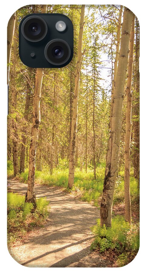 Alaska iPhone Case featuring the photograph A Sunny Day Hiking in Denali by Joni Eskridge