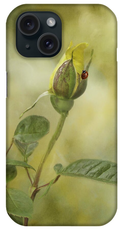 Roses iPhone Case featuring the photograph A Touch Of Class by Diane Schuster