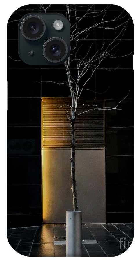 Tree iPhone Case featuring the photograph A Tree Grows in the City by James Aiken