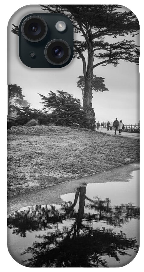 Tree iPhone Case featuring the photograph A Tree stands tall by Lora Lee Chapman