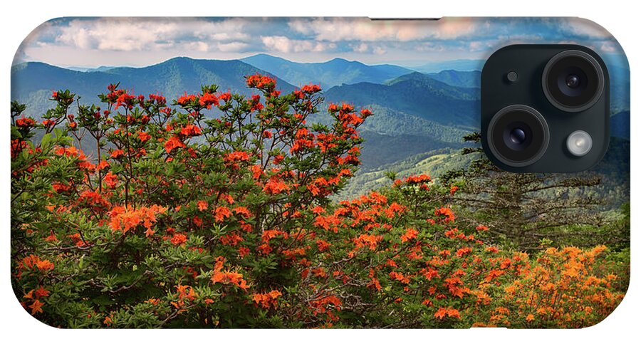 Roan Mountain iPhone Case featuring the photograph A Visual Feast by C Renee Martin