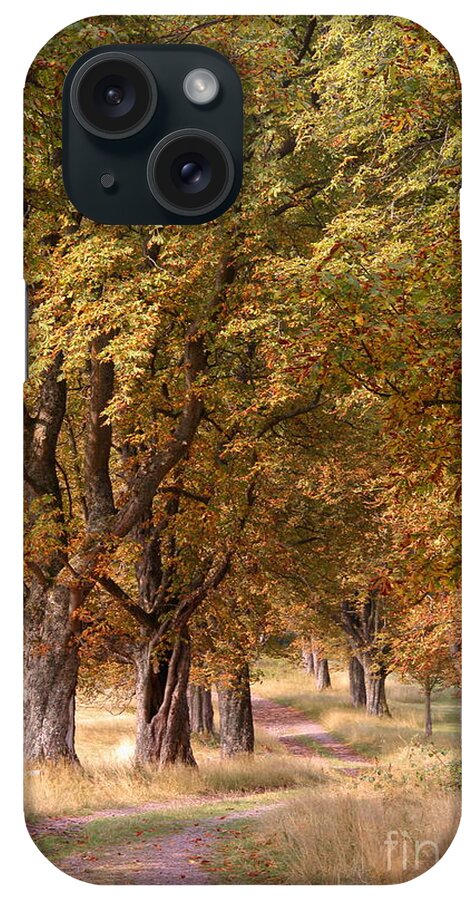 France iPhone Case featuring the photograph A walk in the countryside by Howard Ferrier
