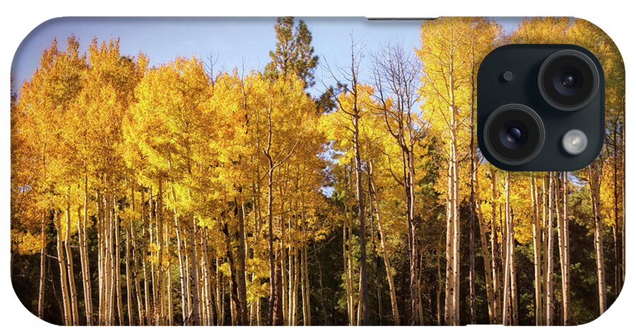Aspen Grove iPhone Case featuring the photograph A Wall of Aspens by Saija Lehtonen