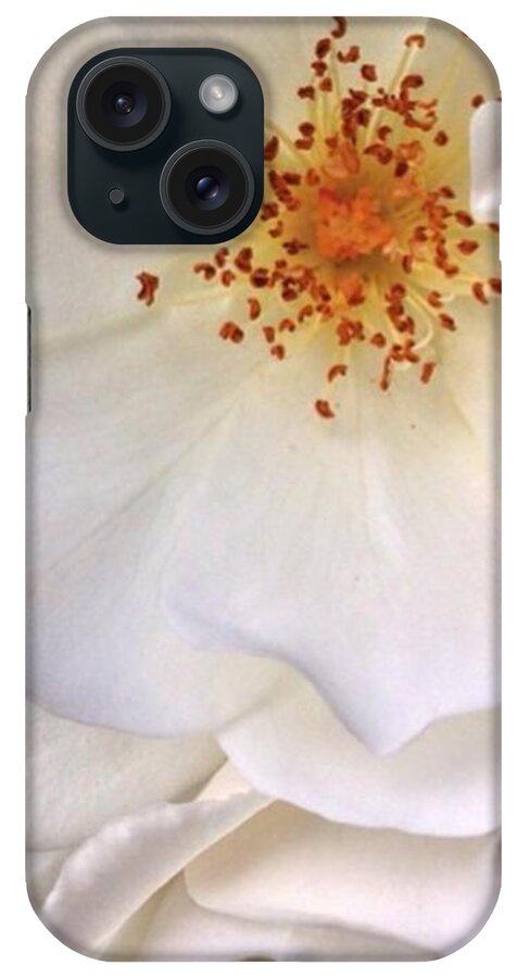 A Whiter Shade Of Pale iPhone Case featuring the photograph A Whiter Shade Of Pale by Anna Porter