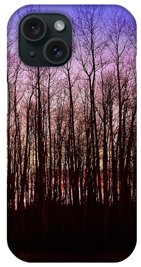 Trees iPhone Case featuring the photograph A Winter Sunset by Julius Reque