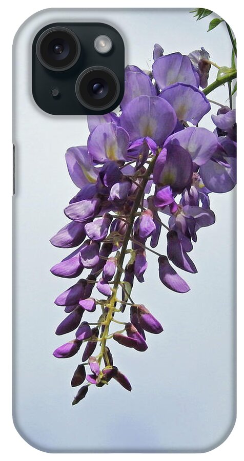 Vine iPhone Case featuring the photograph A Wisp of Wisteria by Jan Gelders