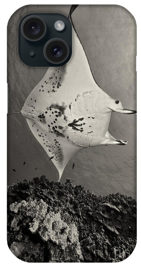 Manta Ray iPhone Case featuring the photograph Over The Coral by Aaron Whittemore