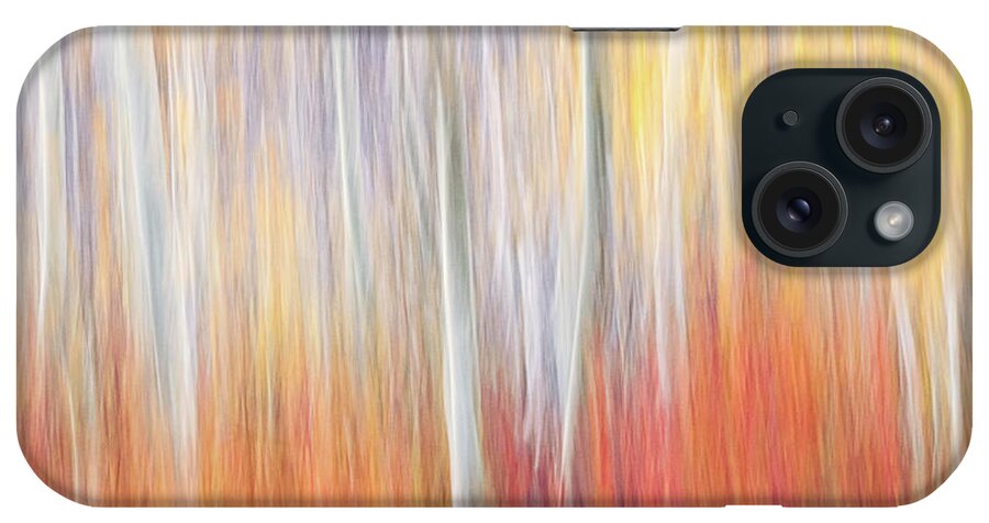 Abstract iPhone Case featuring the photograph Abstract Autumn by Laura Roberts