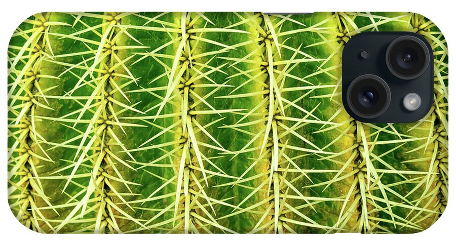 Cactus iPhone Case featuring the photograph Abstract cactus by Delphimages Photo Creations