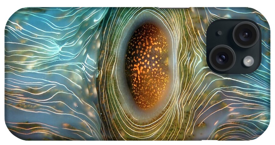 Abstract iPhone Case featuring the photograph Abstract clam by Artesub