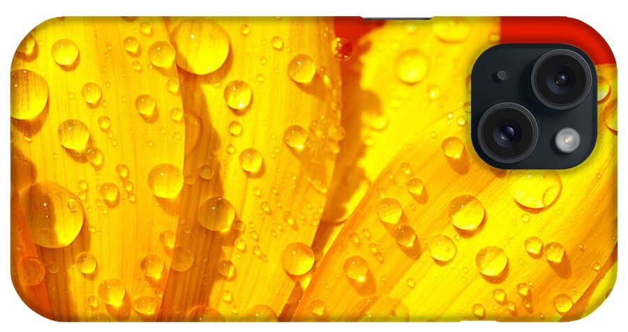 Abstract iPhone Case featuring the photograph Abstract flower petals by Anna Om
