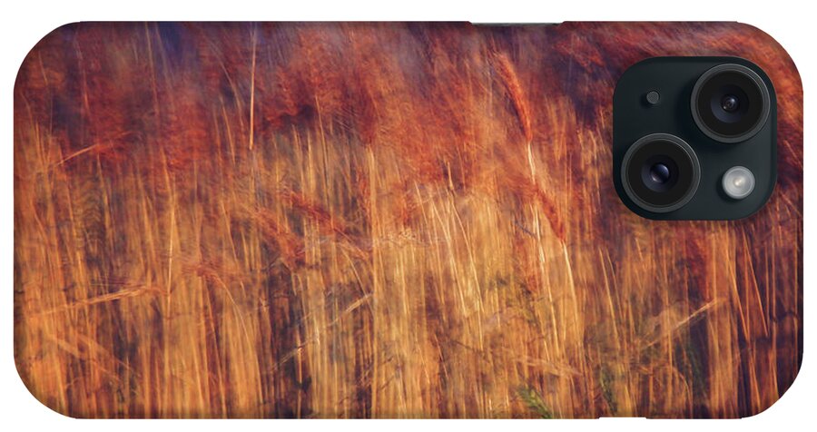 Abstract iPhone Case featuring the photograph Abstract Grasses in the Evening by Toni Hopper