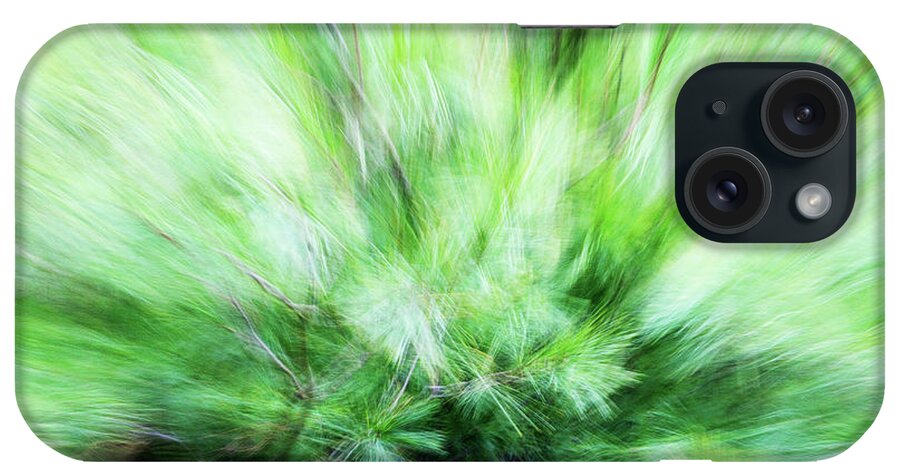 Pine iPhone Case featuring the photograph Abstract Leaves 7 by Rebecca Cozart
