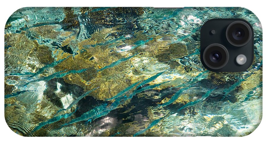 Jenny Rainbow Fine Art Photography iPhone Case featuring the photograph Abstract of the Underwater World. Production by Nature by Jenny Rainbow