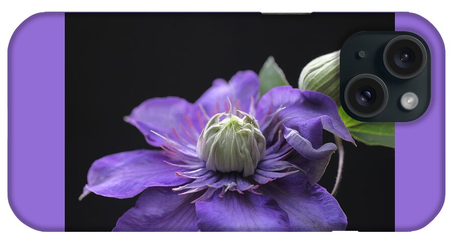 Abundant iPhone Case featuring the photograph Abundant Clematis by Tammy Pool