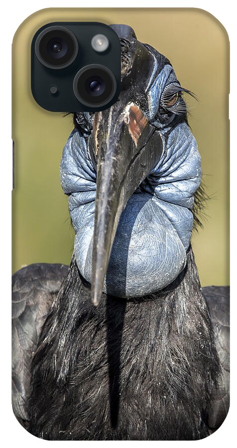 Wildlife iPhone Case featuring the photograph Abyssinian Ground Hornbill by William Bitman
