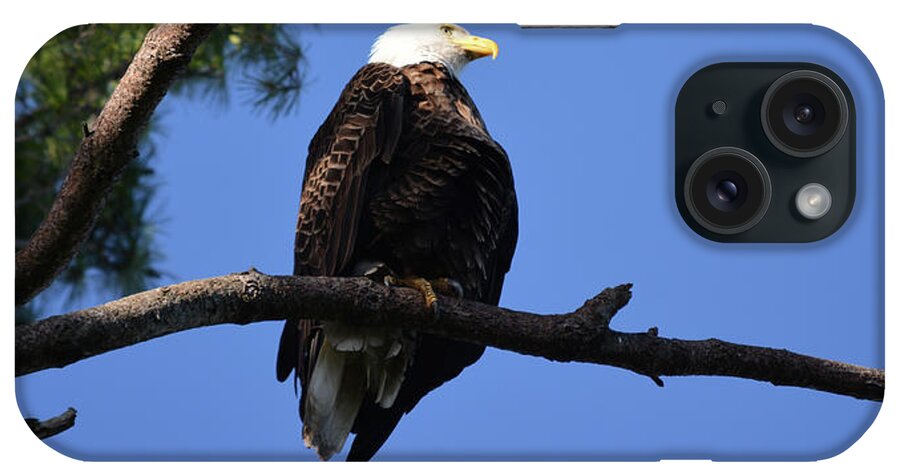 Eagle iPhone Case featuring the photograph Ackley Eagle 2 by Bonfire Photography