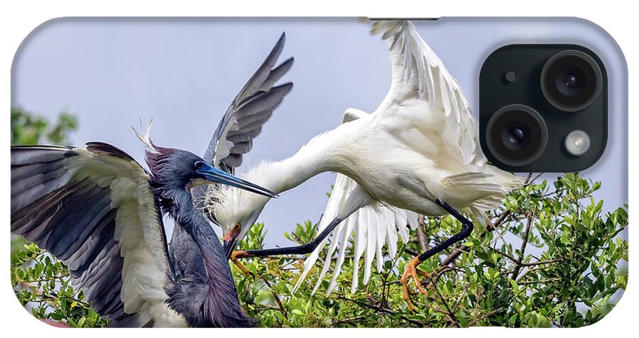 Egrets iPhone Case featuring the photograph Aerial Battle Between Tricolored Heron and Snowy Egret by DB Hayes