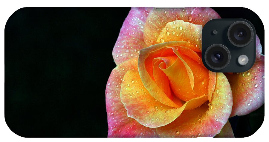 Rose iPhone Case featuring the photograph Aflame by Doug Norkum