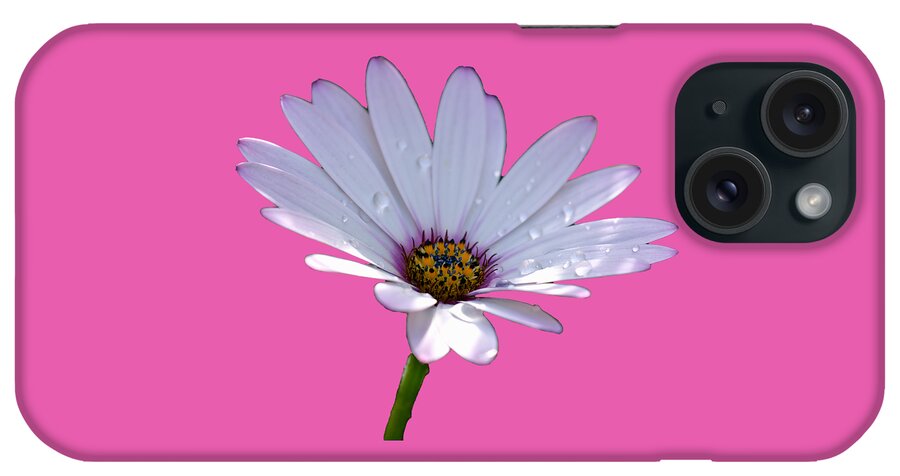 Daisy iPhone Case featuring the photograph African Daisy by Scott Carruthers