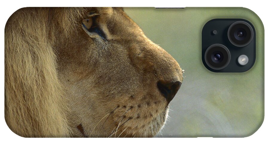 Mp iPhone Case featuring the photograph African Lion Panthera Leo Male Portrait by Zssd