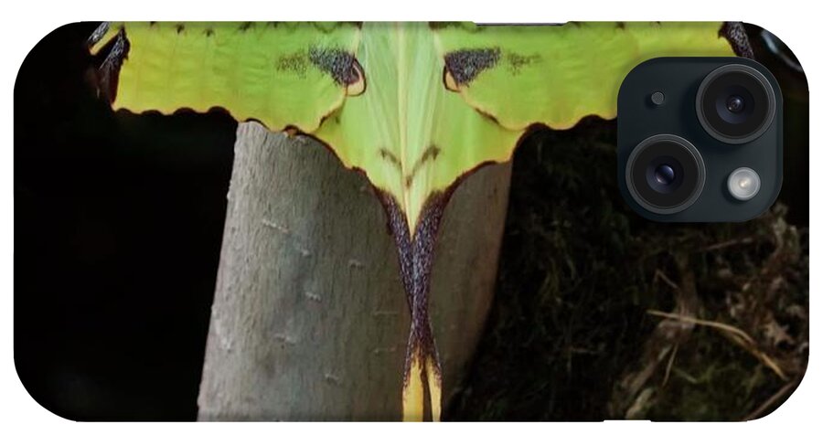 African Moon Moth iPhone Case featuring the photograph African moon moth by Ruth Jolly