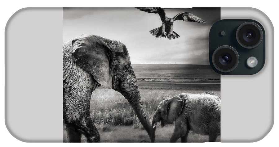 Baby Elephant iPhone Case featuring the photograph African Playground by Christine Sponchia