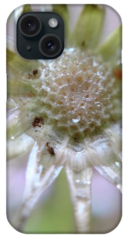 Flower iPhone Case featuring the photograph After the glitter fades by Bruce Carpenter