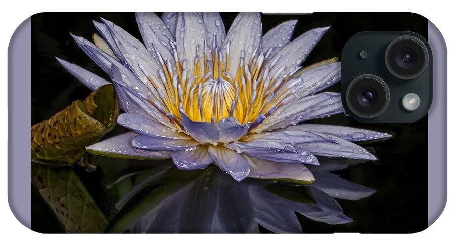 Water Lily iPhone Case featuring the photograph After the Rain by Roman Kurywczak